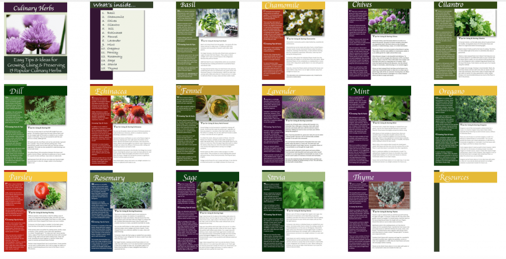 Culinary Herb Gardening PLR