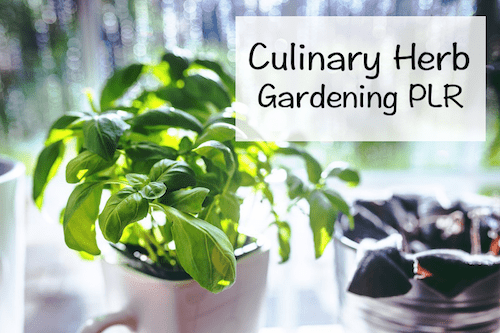 Culinary Herb Gardening PLR